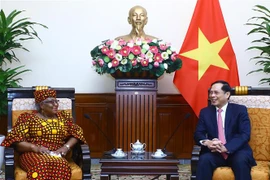 Bộ trưởng Ngoại giao Bùi Thanh Sơn tiếp Tổng Giám đốc Tổ chức Thương mại thế giới (WTO) Ngozi Okonjo-Iweala. (Ảnh: Lâm Khánh/TTXVN)