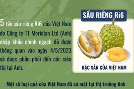 [Infographics] Sầu riêng của Việt Nam đã có mặt tại thị trường Anh