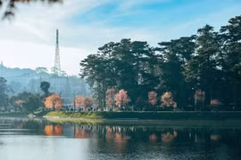 Sa Pa, Đà Lạt và Ninh Bình lọt tốp điểm đến thiên nhiên kỳ thú nhất Đông Nam Á