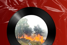 Tin nóng 10/8: Cháy rừng suốt đêm, hàng trăm người gồng mình dập lửa