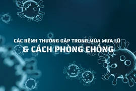 Biện pháp phòng chống các bệnh thường gặp trong mùa mưa lũ 