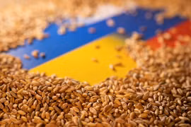 Nga ra "đòn hiểm" gạt Ukraine khỏi thị trường, Kiev "chật vật" giữ thăng bằng