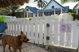 Cảnh sát nghi ngờ cái chết của Gregory Faull có liên quan tới đàn chó của John McAfee. (Nguồn: AP)