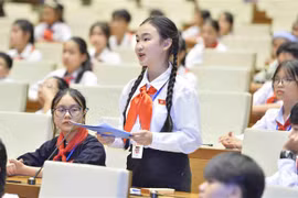 Đại biểu Hoàng Trà My, Đoàn Đại biểu Quốc hội tỉnh Nghệ An phát biểu. (Ảnh: Minh Đức/TTXVN)