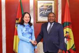Phó Chủ tịch nước Võ Thị Ánh Xuân hội kiến Tổng thống Mozambique Filipe Nyusi. (Ảnh: Lâm Khánh/TTXVN)