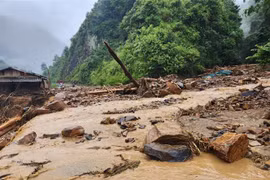 (Ảnh minh họa: Tuấn Anh/TTXVN)