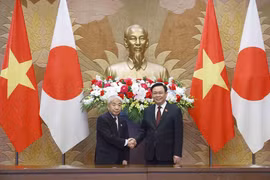 Chủ tịch Quốc hội Vương Đình Huệ và Chủ tịch Thượng viện Nhật Bản Otsuji Hidehisa. (Ảnh: Doãn Tấn/TTXVN)