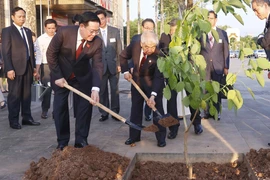 Chủ tịch Quốc hội Vương Đình Huệ và Chủ tịch Thượng viện Nhật Bản Otsuji Hidehisa thực hiện nghi thức trồng cây. (Ảnh: Doãn Tấn/TTXVN)