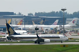 Máy bay của hãng hàng không Singapore Airlines tại sân bay Changi ở Singapore. (Ảnh: AFP/TTXVN)