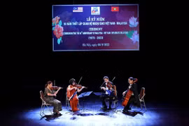 Các tiết mục văn nghệ chào mừng. (Ảnh: An Đăng/TTXVN)