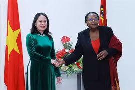 Phó Chủ tịch nước Võ Thị Ánh Xuân hội kiến Chủ tịch Quốc hội Mozambique Esperanca Laurinda Francisco Nhiuane Bias. (Ảnh: Lâm Khánh/TTXVN)