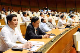 Các đại biểu tham dự phiên họp. (Ảnh: Minh Đức/TTXVN)