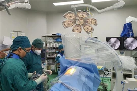 Ảnh minh họa. (Ảnh: TTXVN phát)