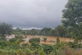 Mưa lũ gây ngập hàng trăm hecta cây trồng của người dân tỉnh Đắk Nông. (Ảnh: Hưng Thịnh/TTXVN)