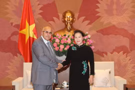 Chủ tịch Quốc hội Nguyễn Thị Kim Ngân tiếp Ủy viên Trung ương Đảng Cộng sản Cuba Carlos Rafael Miranda Martinez. (Ảnh: Trọng Đức/TTXVN)