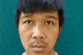 Đối tượng Hùng ''sida.''