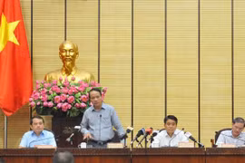 Phó Tổng Thanh tra Chính phủ Nguyễn Văn Thanh phát biểu. (Ảnh: TTXVN)