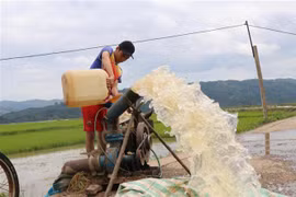 Người dân nỗ lực bơm nước ra khỏi đồng ruộng để chống úng. (Ảnh: Tuấn Anh/TTXVN)