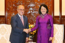 Phó Chủ tịch nước Đặng Thị Ngọc Thịnh tiếp tiến sỹ Kambiz Ghamwami, Chủ tịch Tổ chức Hỗ trợ Đại học thế giới của Đức, Ủy viên Hội đồng Trường Đại học Việt-Đức. (Ảnh: Doãn Tấn/TTXVN)