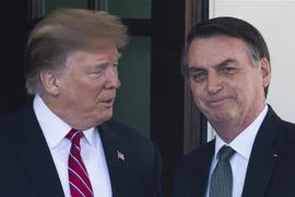 Tổng thống Mỹ Donald Trump (trái) trong cuộc gặp người đồng cấp Brazil Jair Bolsonaro đang ở thăm Nhà Trắng ngày 19/3. (Ảnh: AFP/TTXVN)