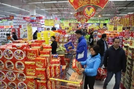 Ảnh chỉ có tính minh họa. (Ảnh: Vũ Sinh/TTXVN)