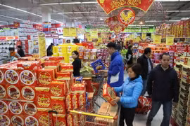 Ảnh chỉ có tính minh họa. (Ảnh: Vũ Sinh/TTXVN)