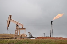 Hệ thống khai thác dầu mỏ gần Williston, North Dakota, Mỹ. (Nguồn: AFP/TTXVN)