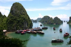 Tàu du lịch trên Vịnh Hạ Long. (Ảnh: Huy Hùng/TTXVN)