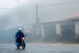 Các phương tiện giao thông di chuyển khó khăn trong sương mù, lạnh giá trên đỉnh đèo Pha Đin. ( Ảnh: Văn Dũng/TTXVN)