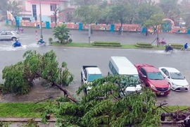 Ảnh chỉ có tính minh họa. (Ảnh: Quốc Việt/TTXVN)