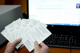 Ảnh chỉ có tính minh họa. (Ảnh: Huy Hùng/TTXVN)