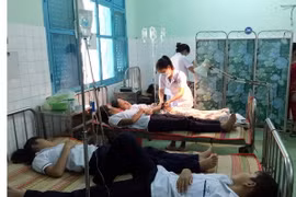 Ảnh chỉ có tính minh họa. (Ảnh: Công Thử/TTXVN)