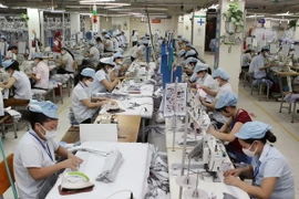 Ảnh chỉ có tính minh họa. (Ảnh: Trần Việt/TTXVN)