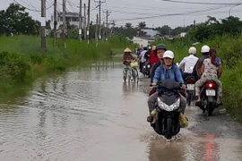 Tuyến đường khu dân cư Thiên Long, thành phố Bạc Liêu, bị ngập do triều cường dâng. (Ảnh: Huỳnh Sử/TTXVN)