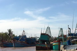 Tàu, thuyền tránh trú bão tại Cảng cá Bình Thắng, huyện Bình Đại, tỉnh Bến Tre. (Ảnh: Trần Thị Thu Hiền/TTXVN)