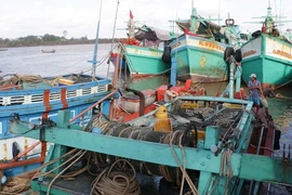 Tàu thuyền đánh bắt thủy sản vào tránh bão Tembin tại cửa biển Nhà Mát, thành phố Bạc Liêu. (Ảnh: Huỳnh Sử/TTXVN)