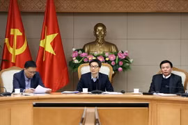 Phó Thủ tướng Vũ Đức Đam phát biểu tại cuộc họp. (Nguồn: baochinhphu.vn)