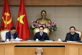 Phó Thủ tướng Vũ Đức Đam phát biểu tại cuộc họp. (Nguồn: baochinhphu.vn)