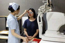 Ảnh chỉ có tính minh họa. (Ảnh: Dương Ngọc/TTXVN)