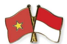 Vai trò của các tổ chức trong thúc đẩy hợp tác Việt Nam-Indonesia