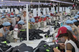 Ảnh chỉ có tính minh họa. (Ảnh: Quốc Việt/TTXVN)