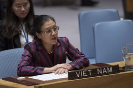 Đại sứ Nguyễn Phương Nga. (Ảnh: Nguyễn Hữu Hoàng/TTXVN)