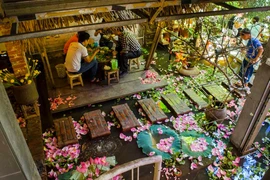 Lấy chủ đề làng quê Bắc Bộ cùng với cái tên rất dân dã, Ao Quán. Các thực khách sẽ không khỏi thích thú khi được đắm chìm trong không gian thôn quê bình dị với cái ao nhỏ phủ đầy cánh sen được chủ quán dựng lên làm điểm nhấn giữa quán. (Ảnh: Trung Kiên/Vi