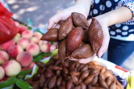 Cận cảnh loại quả gây tò mò trong thời gian gần đây. (Ảnh: Minh Sơn/Vietnam+)