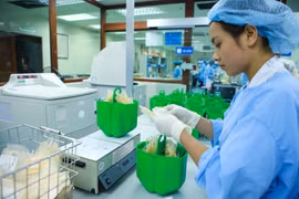 Các đơn vị máu sau khi được tiếp nhận từ người hiến sẽ phải trải qua các quy trình rất nghiêm ngặt để đến được tay các bệnh nhân. 