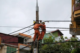 (Ảnh: Mai Loan/TTXVN)