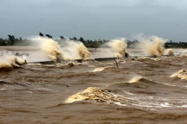 Biển động mạnh. (Ảnh: Thế Duyệt/TTXVN)