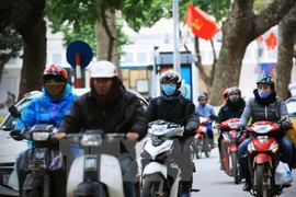 (Ảnh: Trọng Đạt/TTXVN)