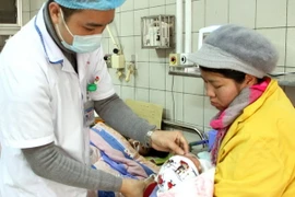 Ảnh minh họa. (Ảnh: Dương Ngọc/TTXVN)