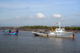Ảnh minh họa. (Ảnh: Đoàn Mạnh Dương/TTXVN)